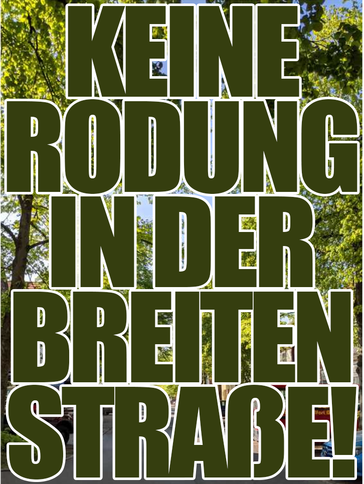 Foto von der Lindenallee, davor Großer Text: Keine Rodung in der Breiten Straße